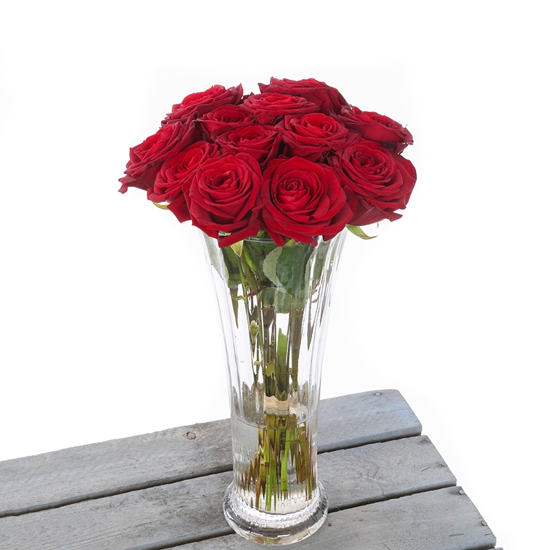12 Rose in Vase