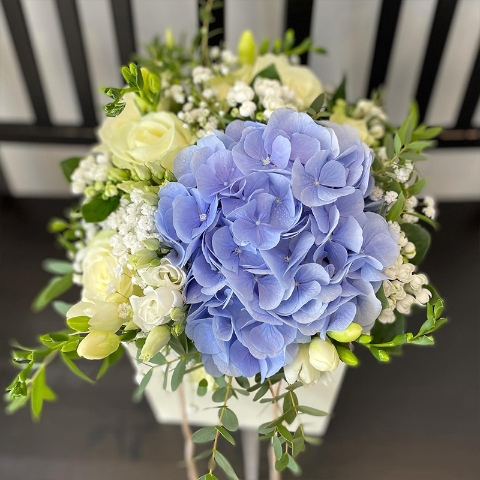 Contemporary Hydrangea & Roses