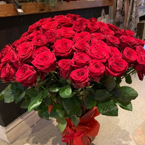 50 Red Roses